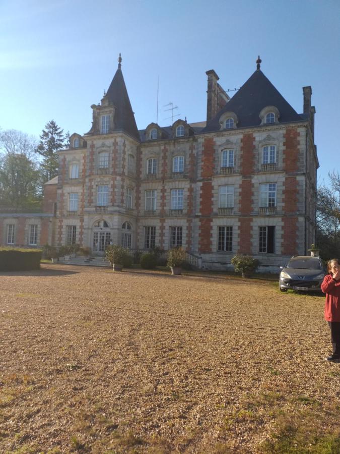 Chateau De Rocheux Freteval Exterior foto